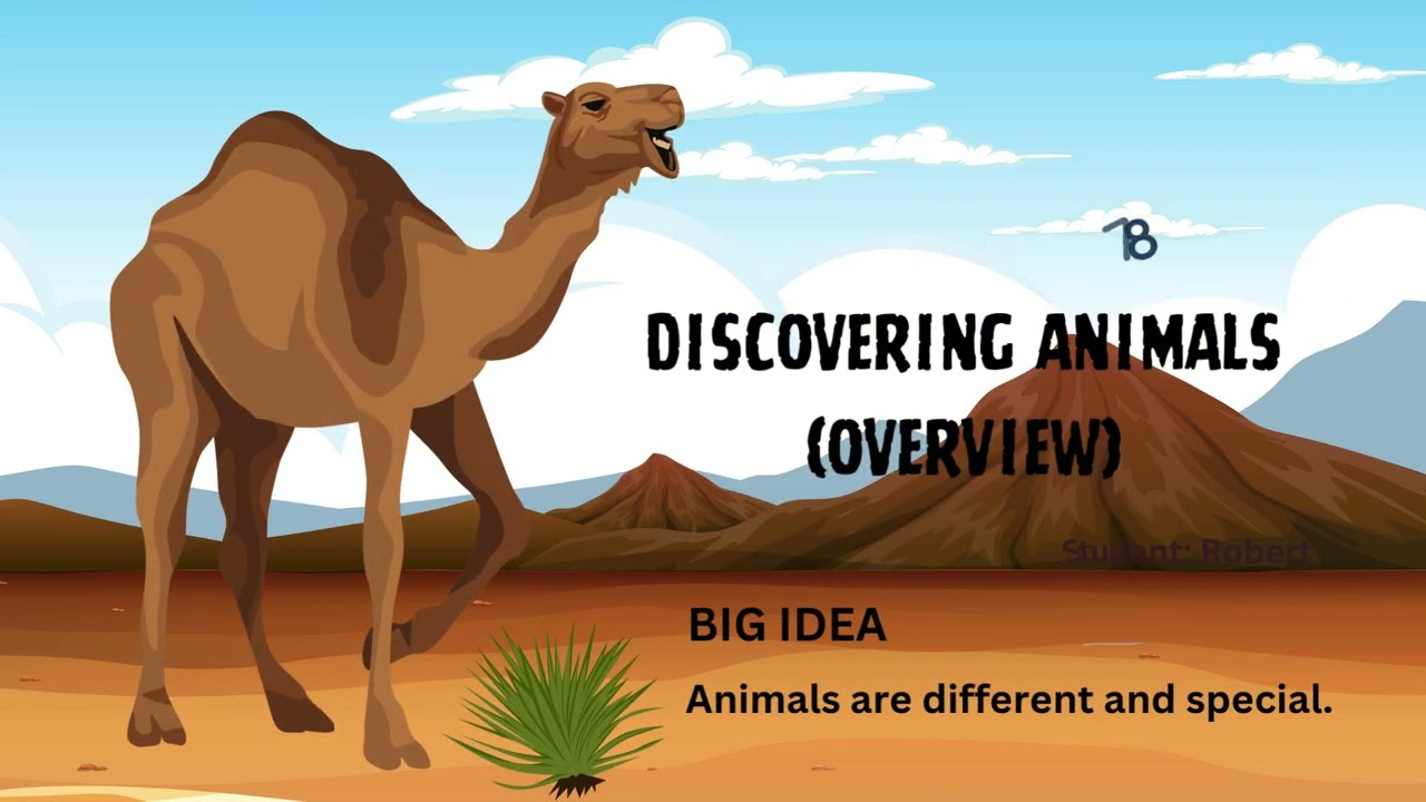 G1   LS 78   Discovering Animals Overview