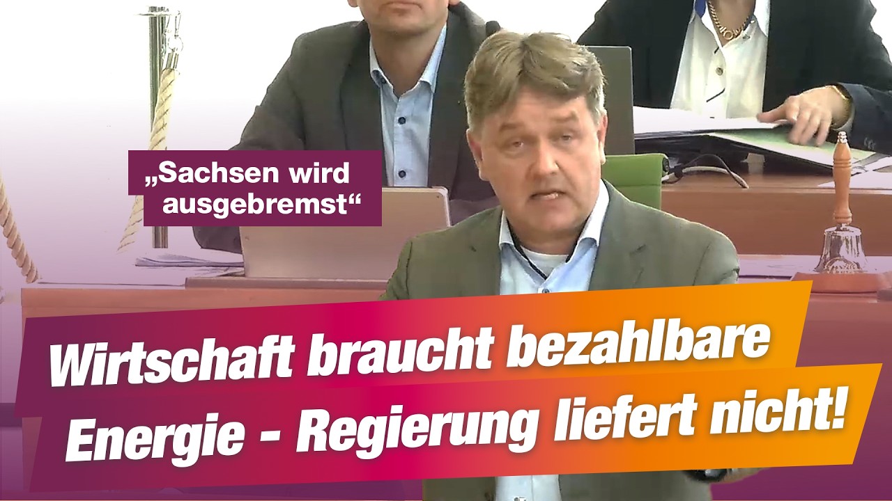 Ralf Böhme (BSW): Wirtschaft braucht bezahlbare Energie - Regierung liefert nicht!