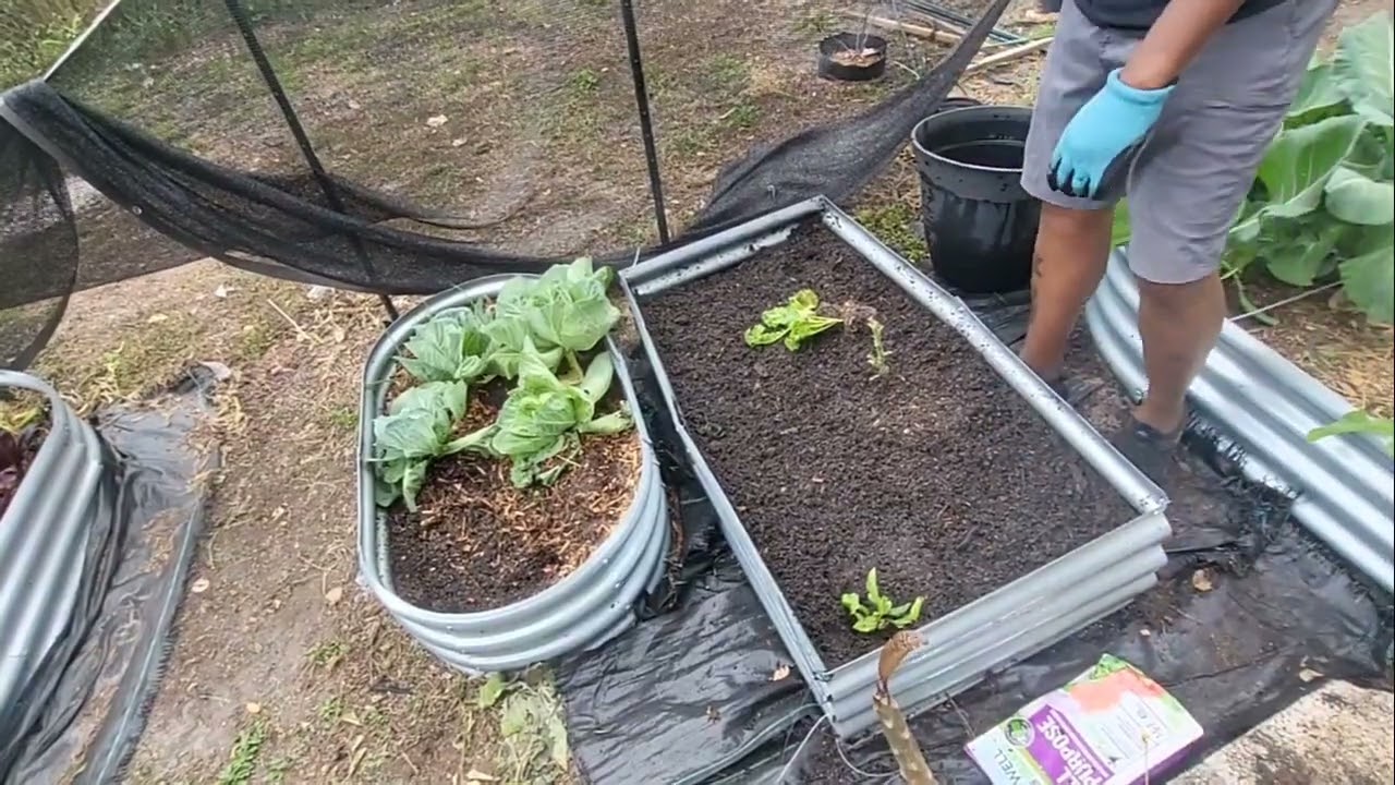 It's  the time to clean up for spring gardening
