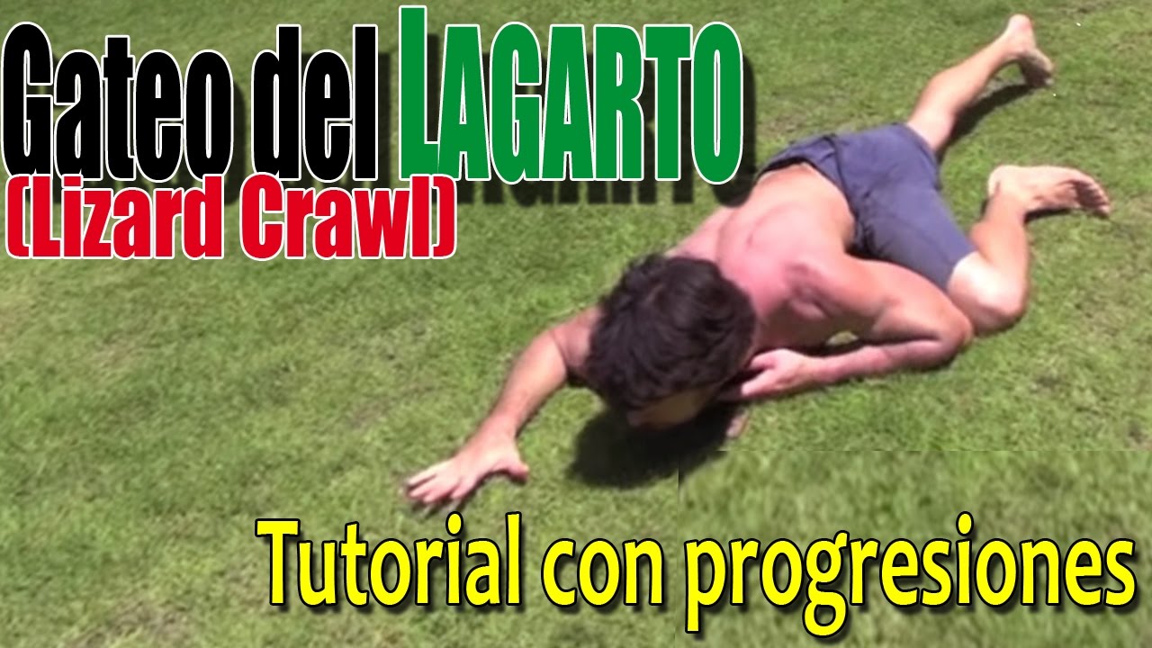 Gateo del Lagarto - Tutorial y progresiones