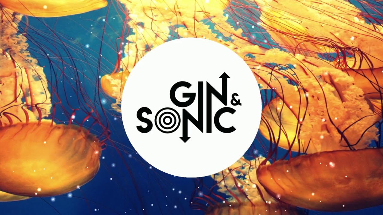 Gin and Sonic 2020 Yearmix (Mashups, Remixes and Originals)