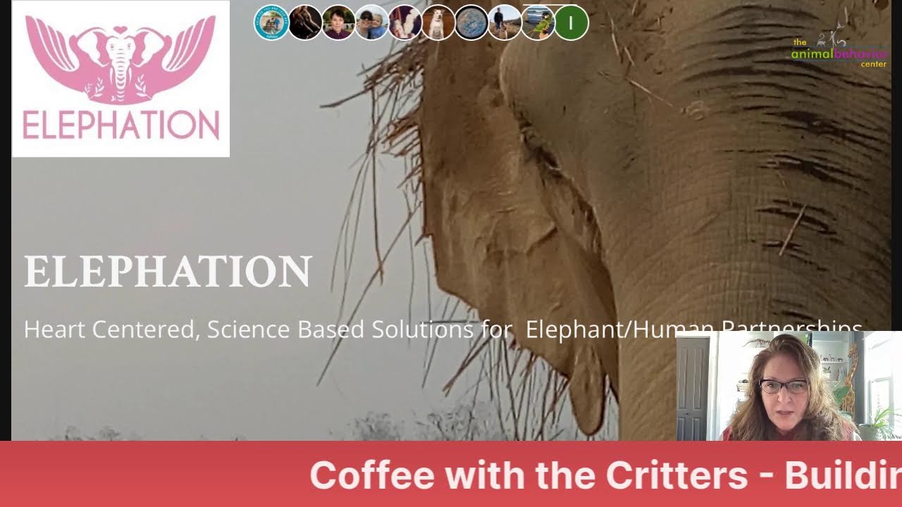 Coffee with the Critters - Building Trust & Strengthening Relationships