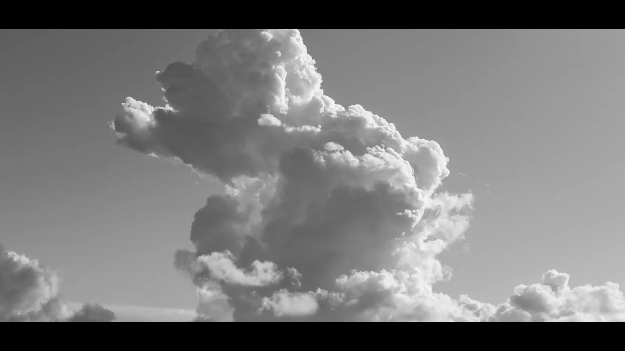 Dentro de um sonho - Pedro Altério (Visualizer)