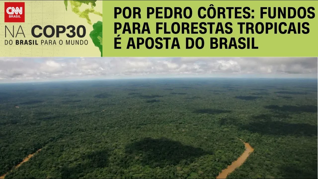 CNN na COP30: Fundo Florestas Tropicais para Sempre é uma das apostas do Brasil | CNN NOVO DIA