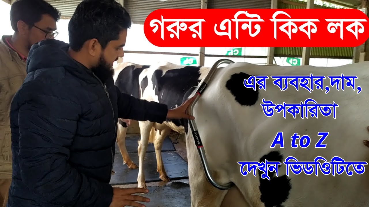 গরুর লাথি,গুতা,লাফালাফি থেকে ১০০% নিরাপদ রাখবে ডিভাইসটি#Cow Anti Kick Bar#Agro Machinery DB#New-2021
