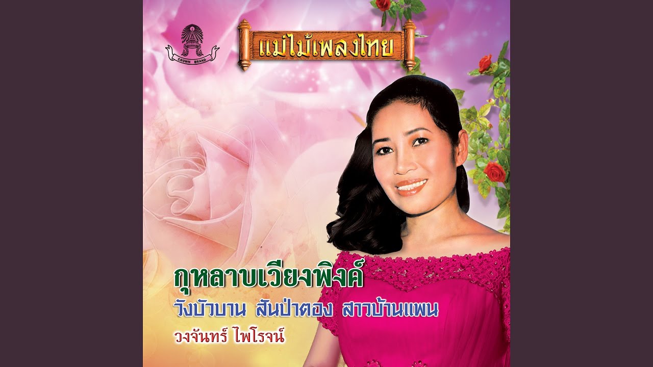 กุหลาบเวียงพิงค์