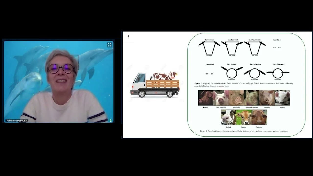 Fabienne Delfour - Les secrets des émotions chez les animaux : zoom sur les dauphins !