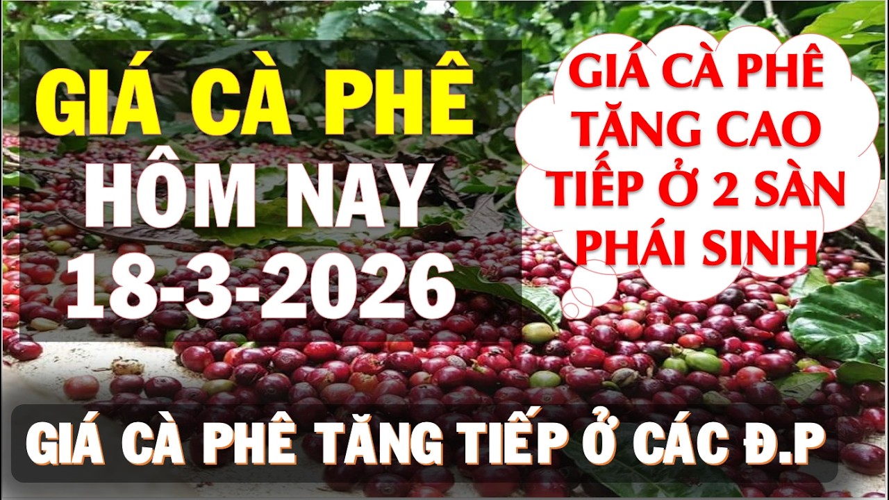 Gi&aacute; c&agrave; ph&ecirc; h&ocirc;m nay ng&agrave;y 18/3/2026|Gi&aacute; c&agrave; ph&ecirc; tăng cao tiếp ở 2 s&agrave;n ph&aacute;i sinh v&agrave; trong nước
