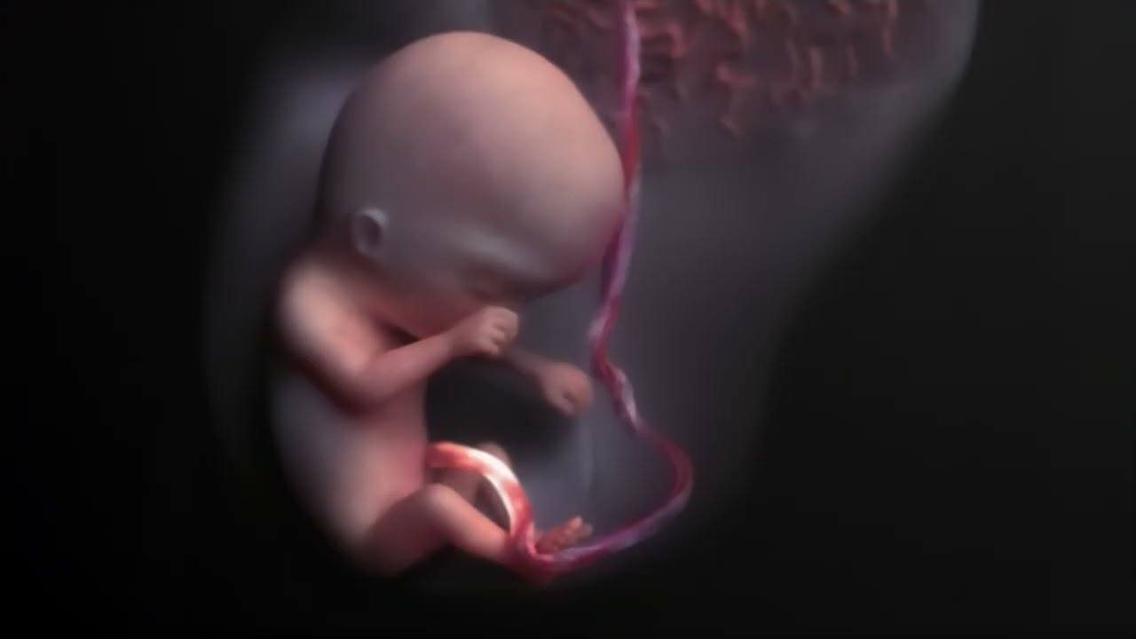 Feel life moving... that little dancer in your belly. Whispers for the Embryo’s Dawn 🌱