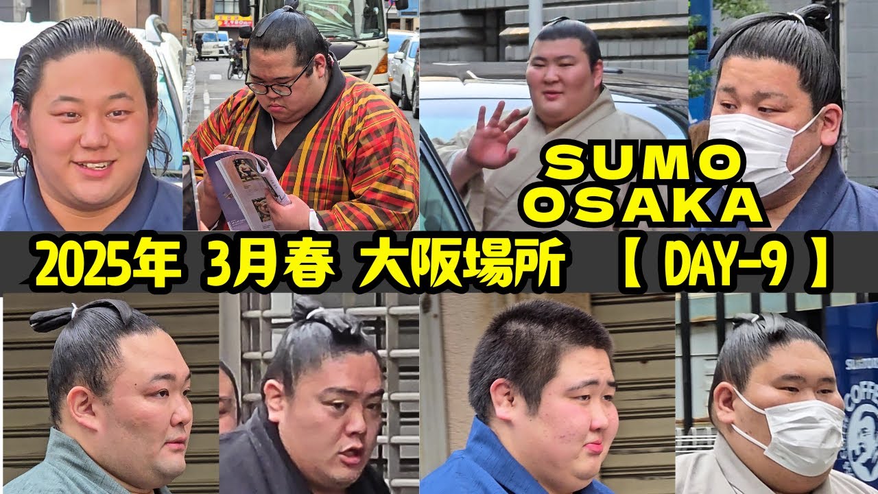 生田目が熱過ぎた🔥 9日目❗ 大相撲 2025年3月17日 大阪場所 【SUMO in OSAKA DAY9】 三田/延原/熱海富士/大の里/豊昇龍/一山本/朝乃山