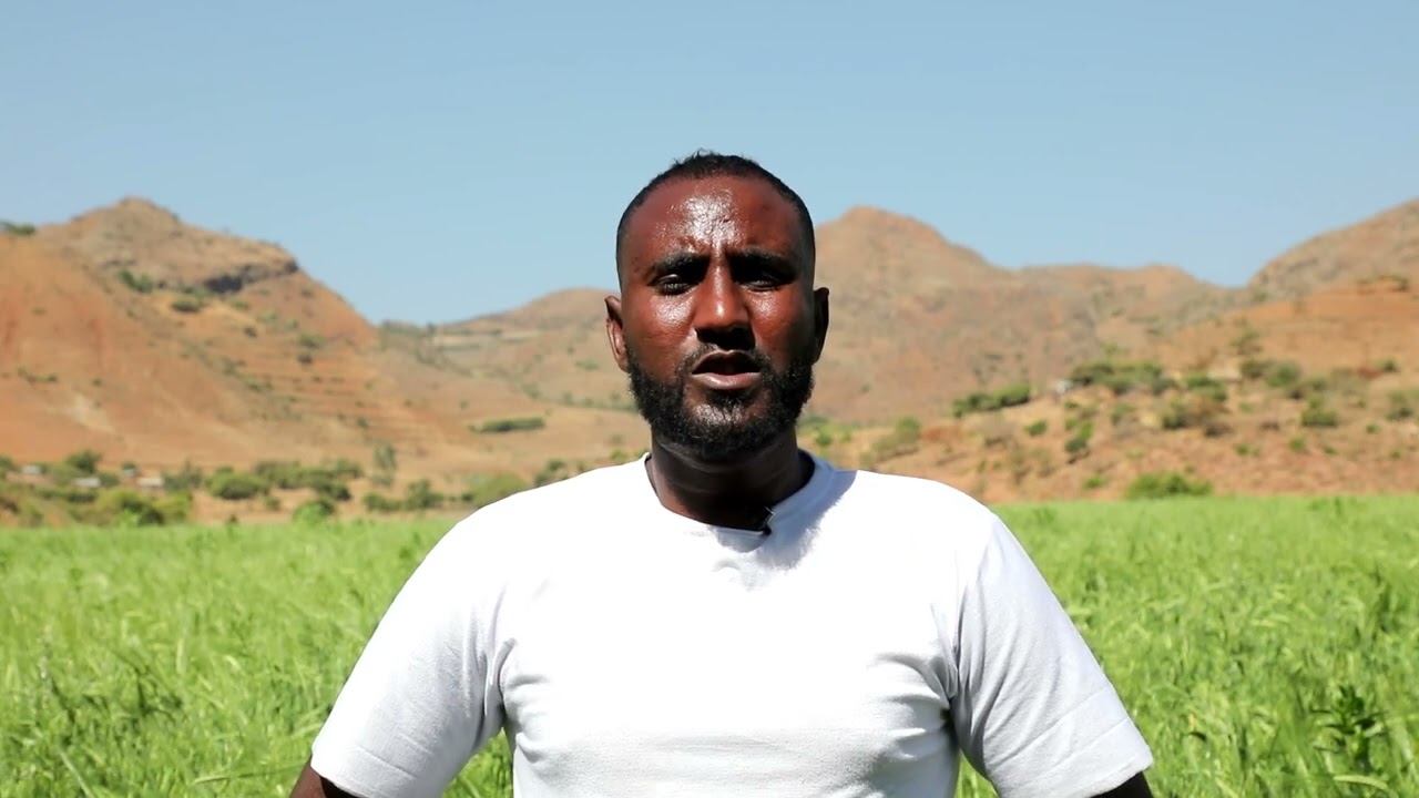 አርሶ አደሩ በበጋ መስኖ ልማት ተጠቃሚ እየሆነ ነው