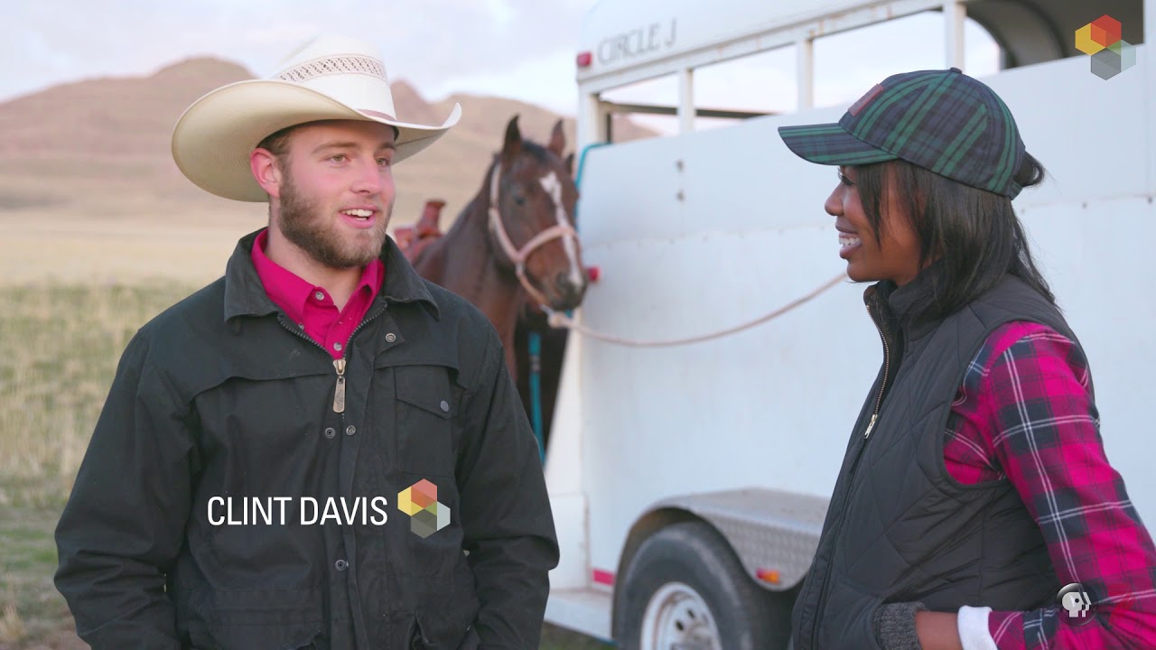 This Is Utah | Antelope Island Bison Roundup
