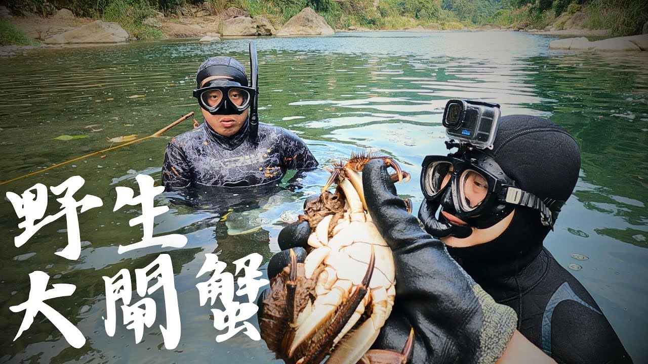 到溪裡抓爆膏野生大閘蟹 三角姑回來補冬 Ft.打魚王翔哥 @打魚王翔哥