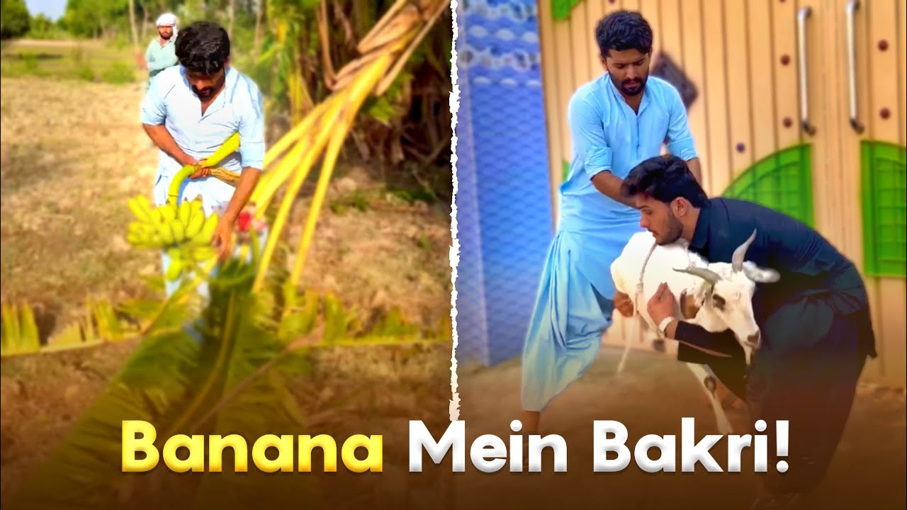 Banana 🍌 Mein Bakri!