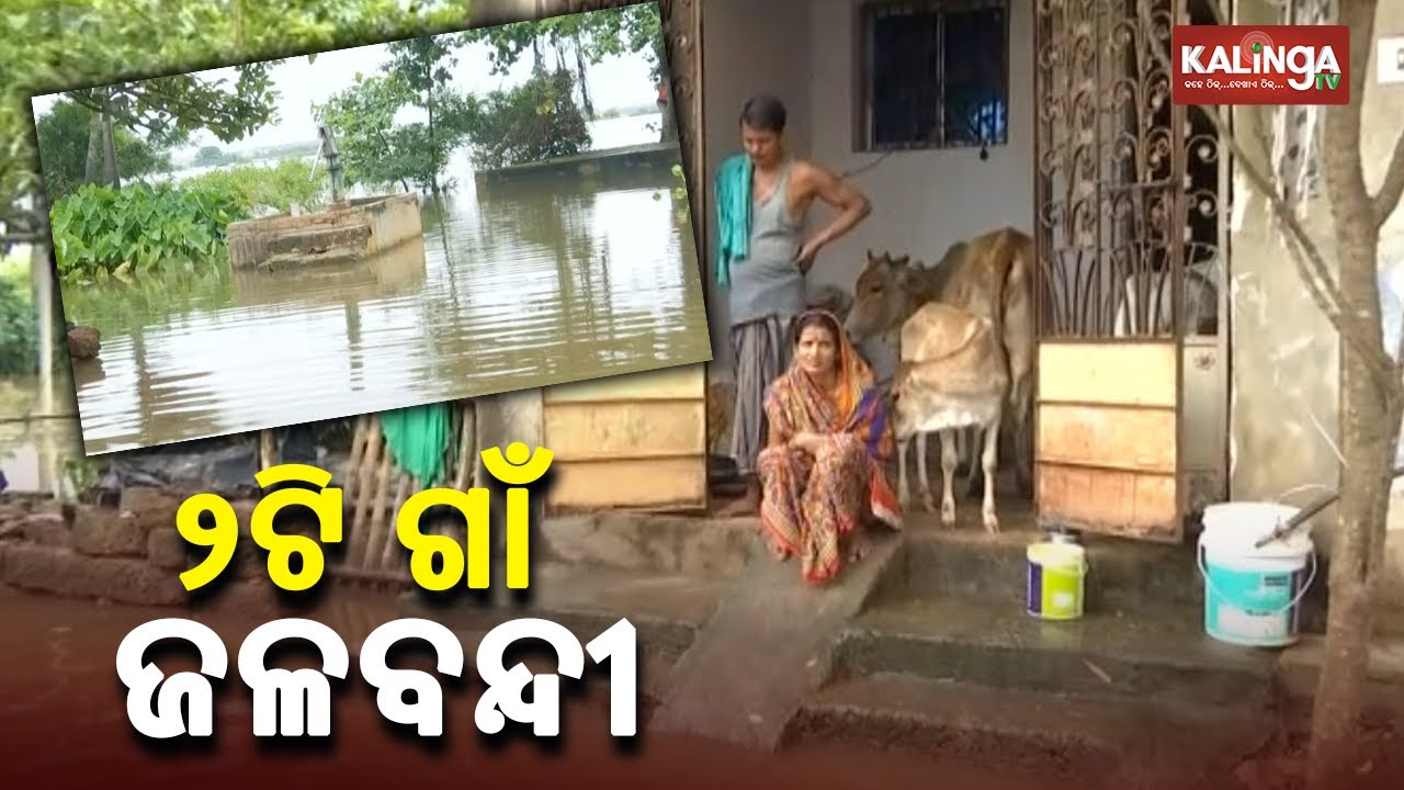 Odisha Floods: Two Villages, Agricultural Fields Submerged In Khordha's Balipatna || KalingaTV