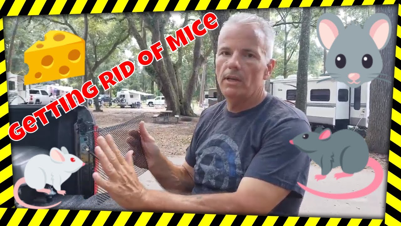 How do YOU keep critters from getting inside your RV/DIY