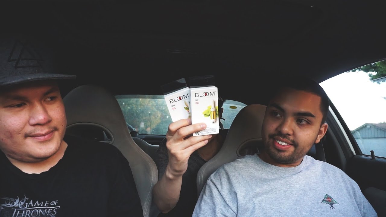 DISPENSARY HAUL | Bloom & Honeyleaf Cartridges