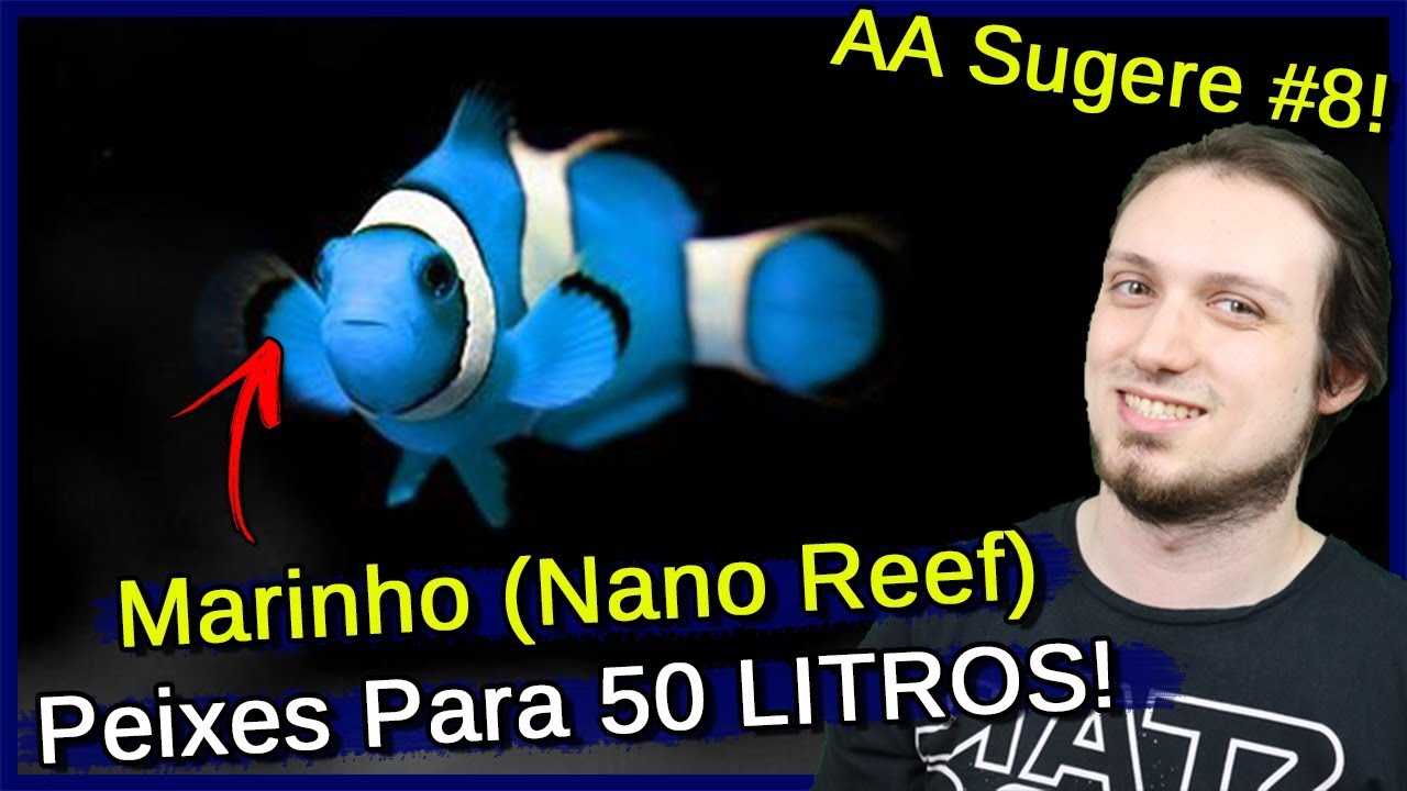 Peixes para Aquário Marinho de 50 litros (Nano Reef)! - AA Sugere #8