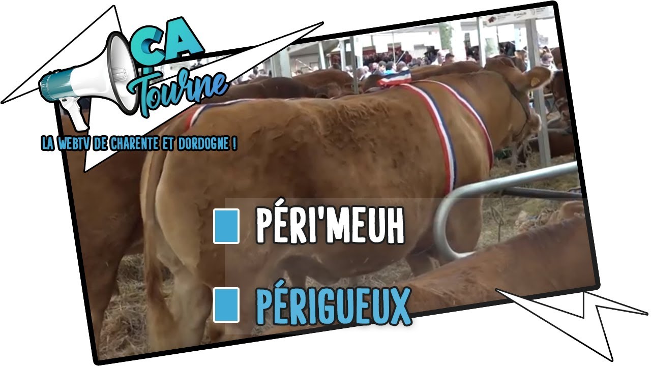 [ÉVÉNEMENT] PÉRI'MEUH À PÉRIGUEUX / ÇA TOURNE
