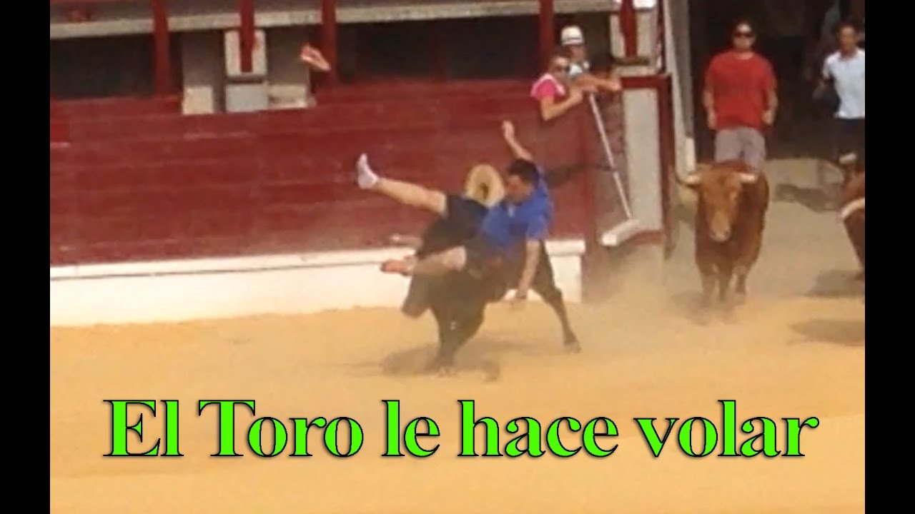 ✈ El Toro le hace VOLAR. EnCiErRo de TOROS BRAVOS