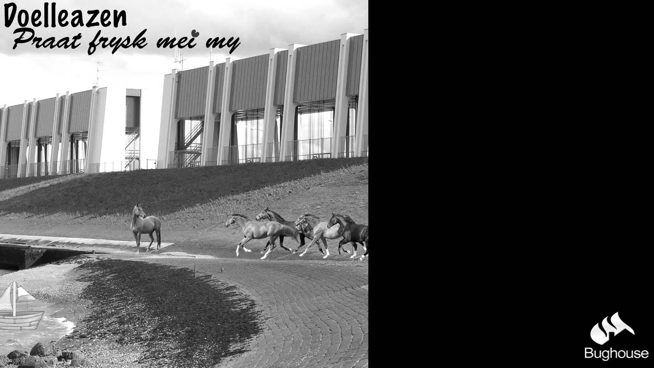 De Doelleazen - Praat Frysk Mei My
