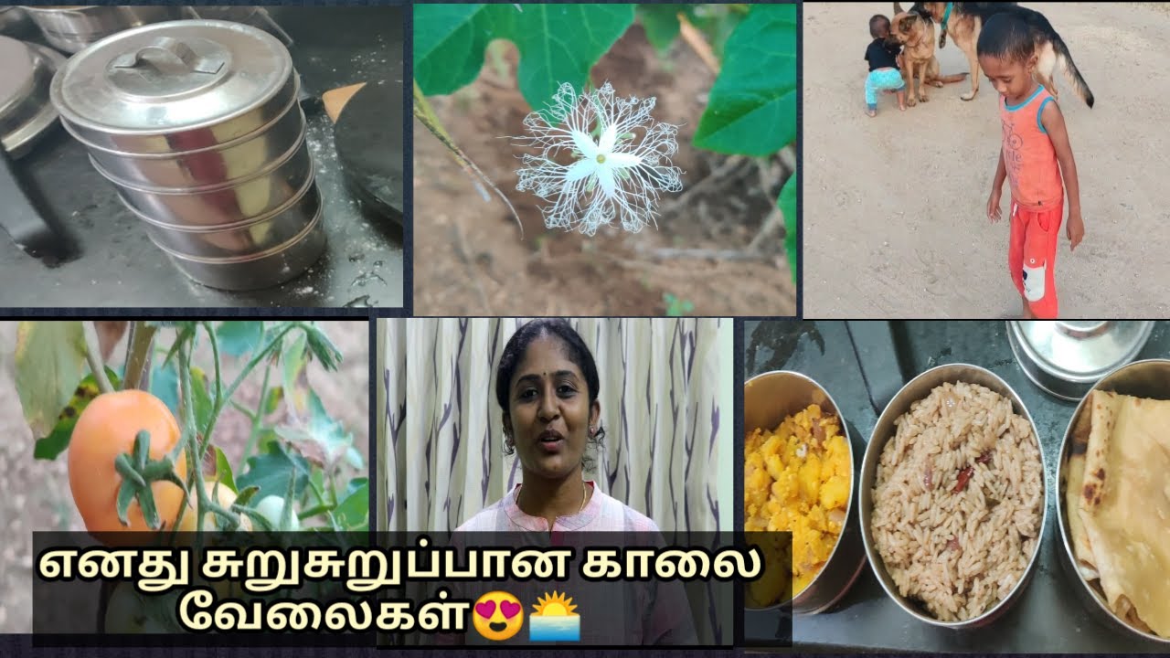 Food packed for my husband lunch box || My busy morning routine starts @ 4 am || Shop 101