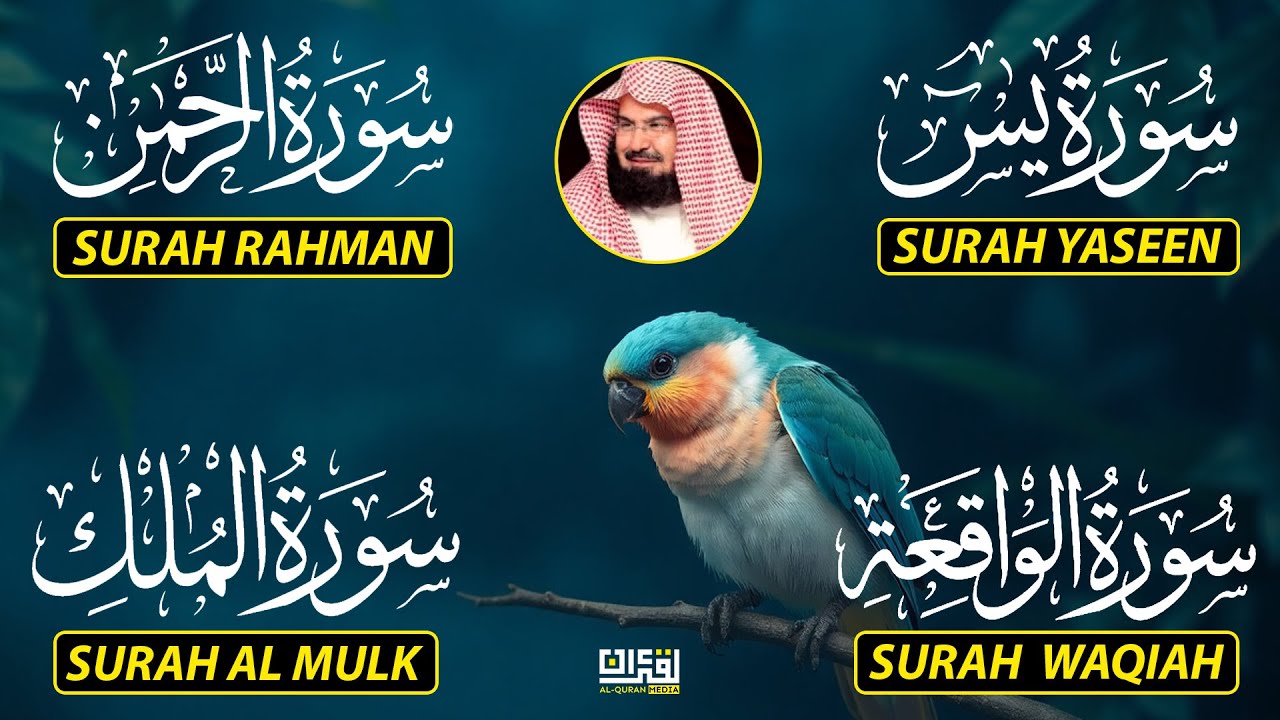 Surah Yasin | Surah Rahman | Surah Waqiah | Surah Mulk | By Sheikh Abdur-Rahman As-Sudais EP-113