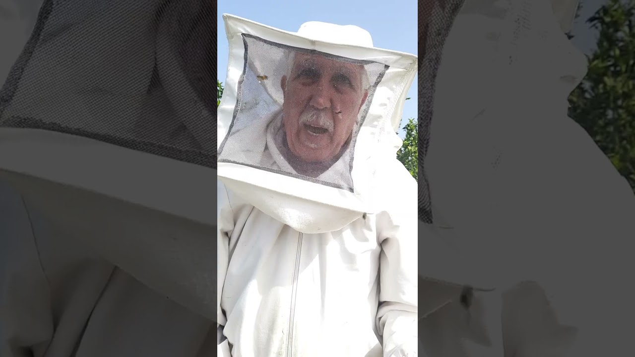 كيفية تفادي التطريد الطبيعي و تربية الملكات