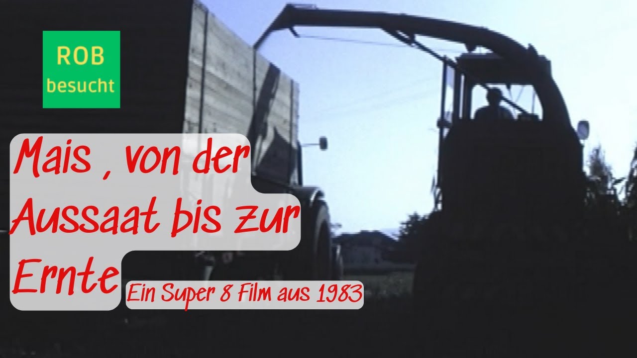 Mais , von der Aussaat bis zur Ernte Anno 1983