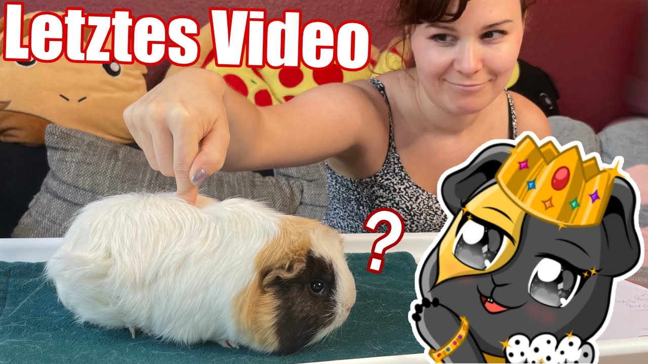 Das LETZTE Video mit Banana Crumble