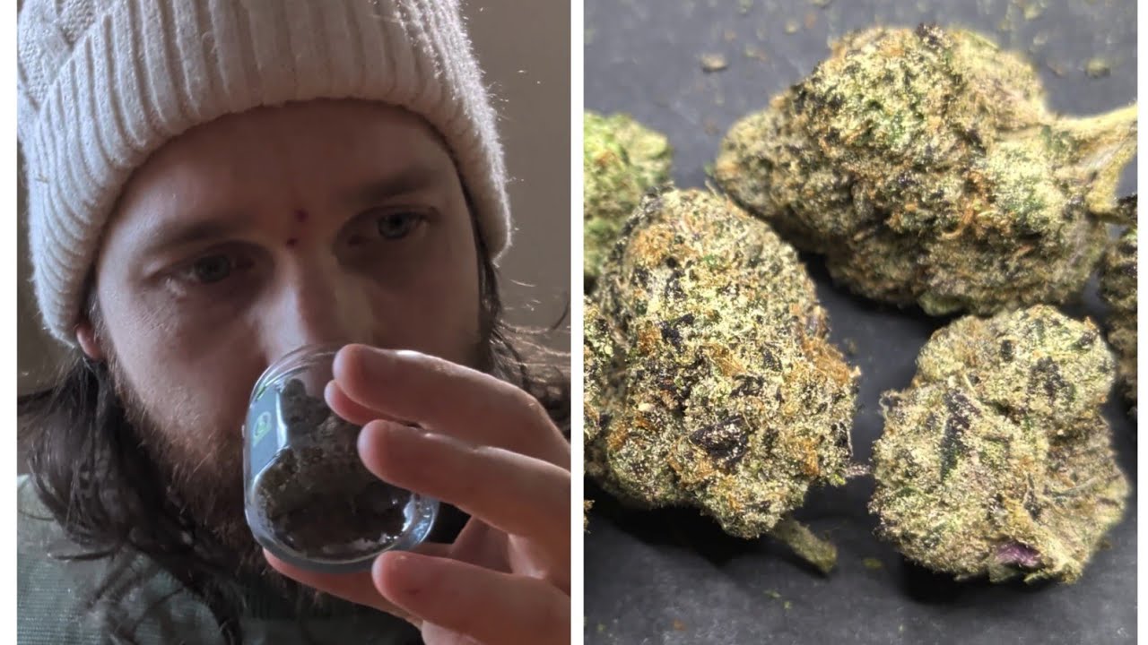 Dank berries - thca small buds indoor exotic Hemp flower review  🫐🍓🍓