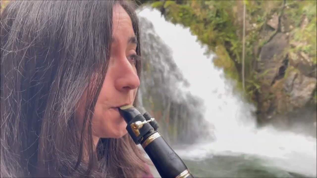 Pablo Estellés & Lorena Rodríguez - Vuela alto (Pablo Estellés)