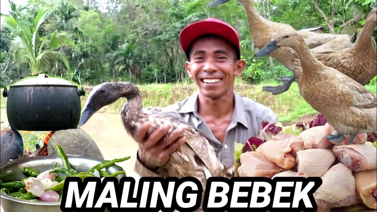 MASAK BEBEK LAGI BERENANG EVEK LAPAR HABIS KERJA SAWAH