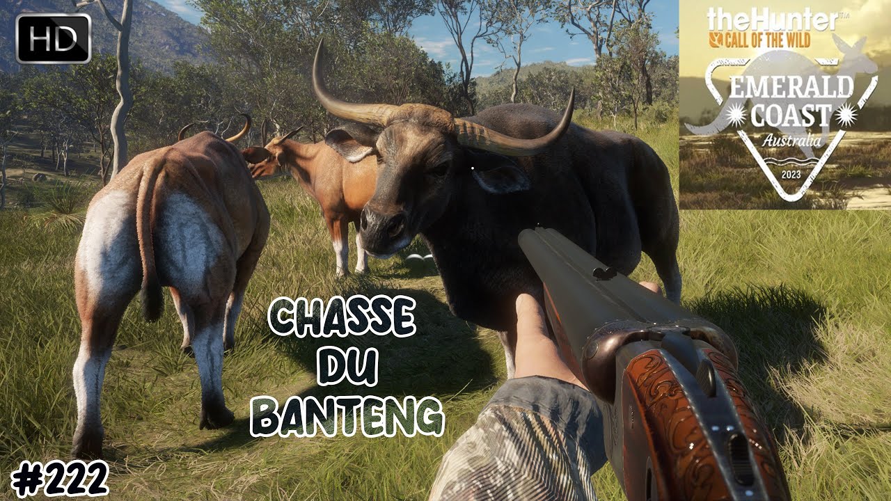 THEHUNTER CALL OF THE WILD CHASSE DU BANTENG GAMEPLAY #222 SUR EMERALD COAST AUSTRALIA !