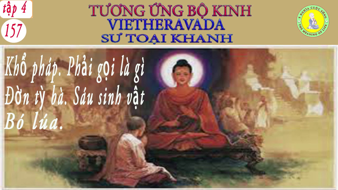 Khổ Pháp !!  Sư Toại Khanh giảng(rất hay)