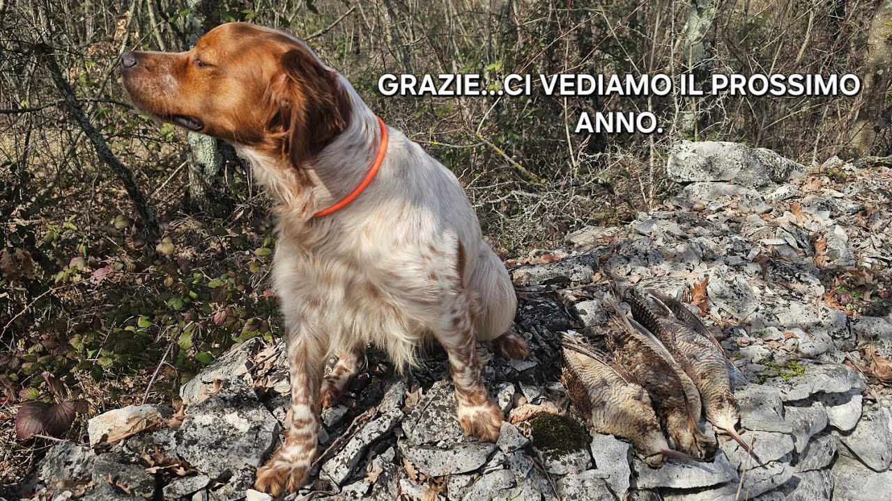 Nel silenzio dell’ultima uscita - Grazie Pina!