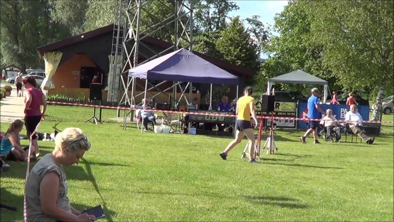 Veni Vidi Vici Seta del Oro @ Agility Ptuj 2016