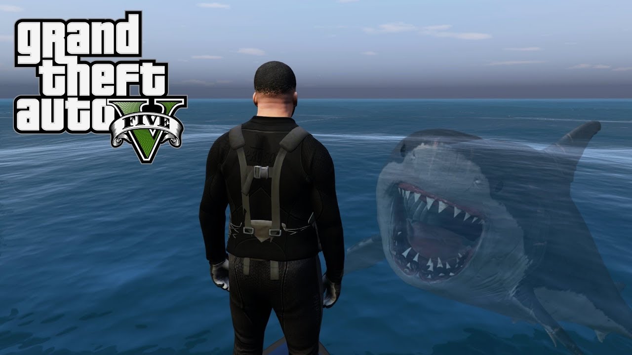 GTA 5 - DANS LA PEAU D'UN HERO
