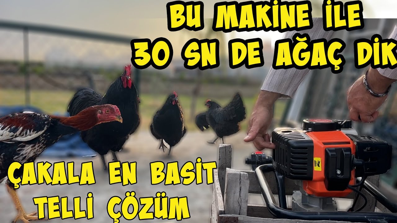 30 SANİYEDE AĞAÇ DİKİN !!! / ARTIK ÇAKALLAR KAPIYA DAYANAMAYACAK !!!