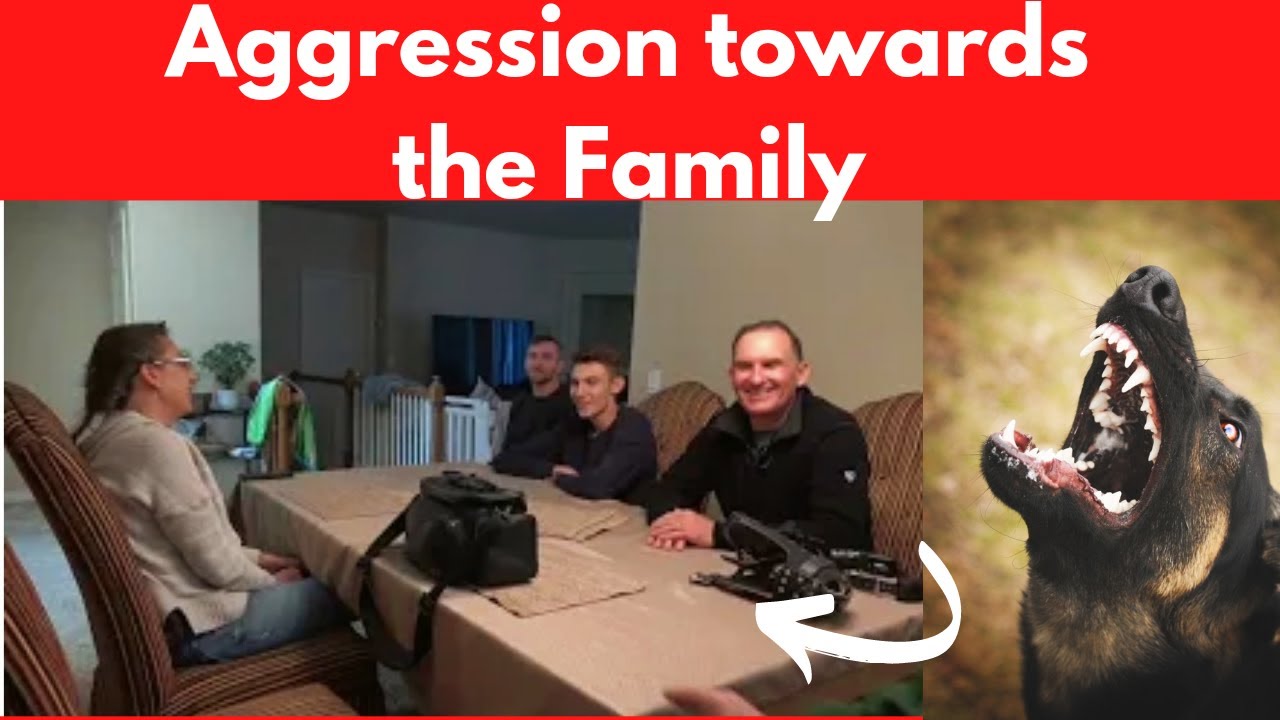 Aggressive German Shepherd Turns on his Family
