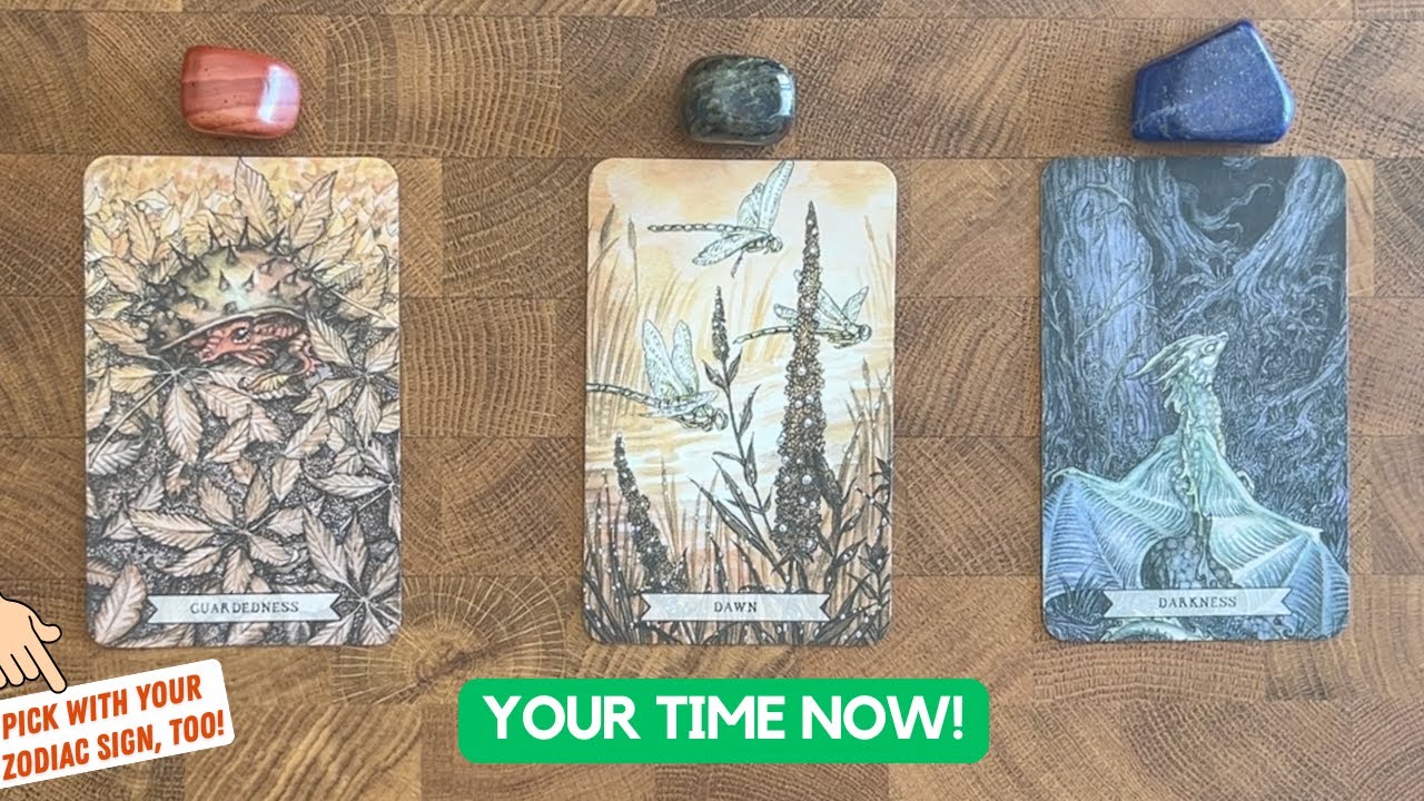 What’s Destined For You… Can’t Be Stopped | Timeless Reading