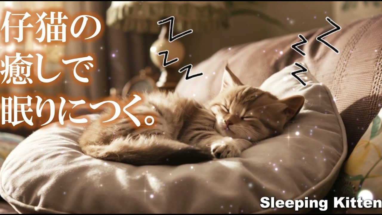 【Cute & Healing】可愛い仔猫の眠りとヒーリング音楽: 心を癒し眠りへ導く