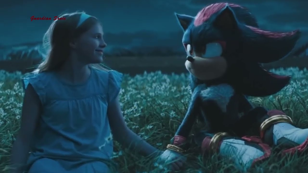 Shadow the Hedgehog - Without You AMV