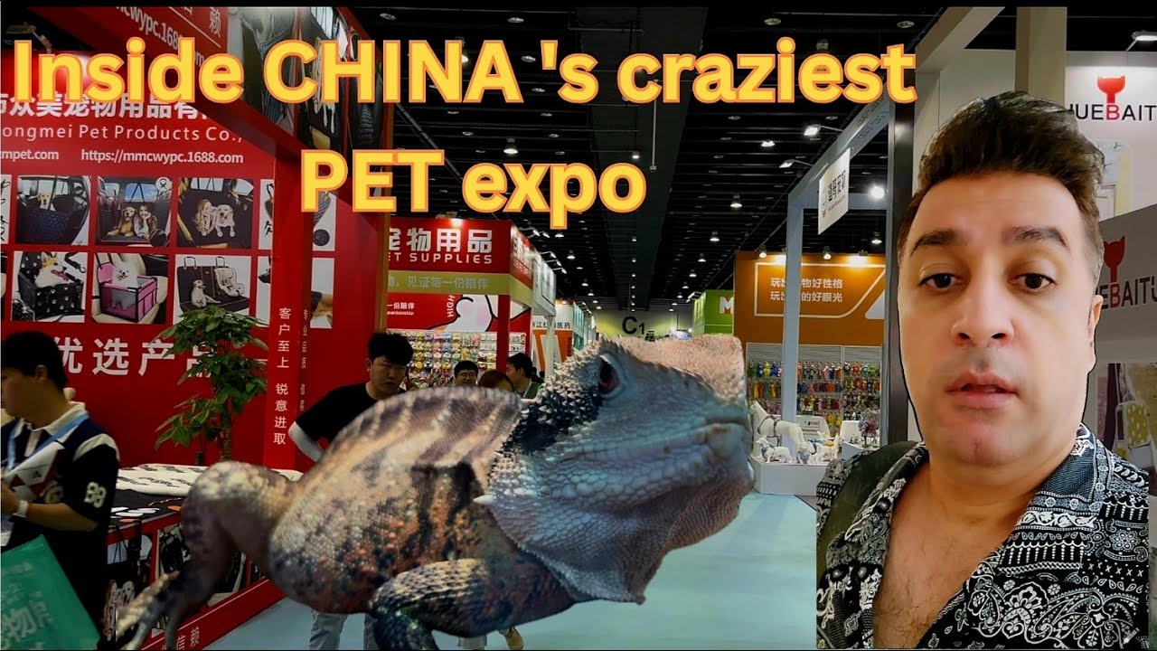 China’s Pet Obsession Is on Another Level 😳🐾