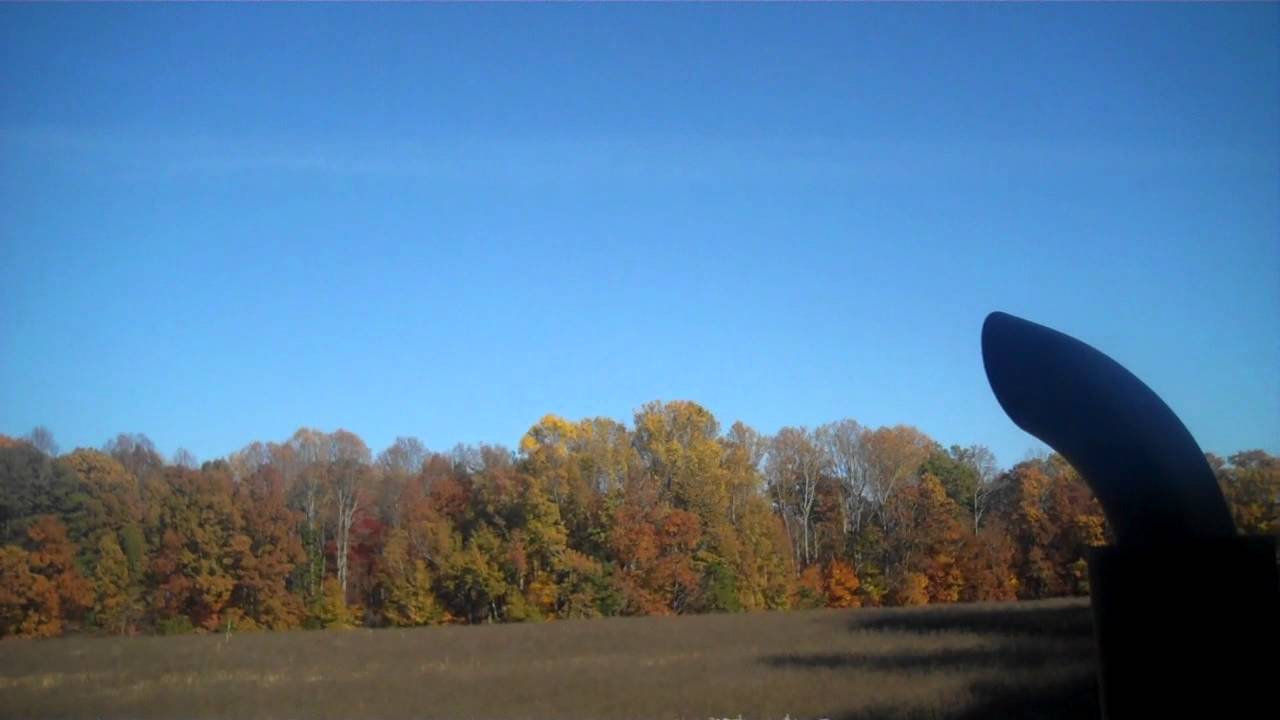Tractor rollin coal