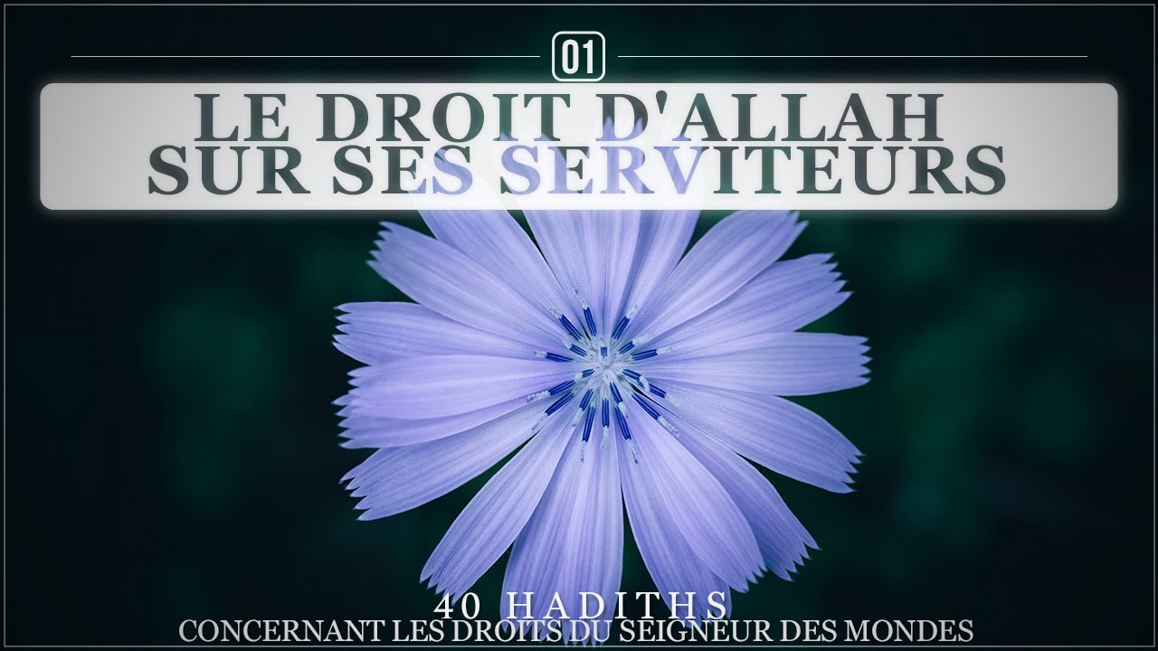 Le droit d'Allah sur Ses serviteurs (n°1 des 40 hadiths sur la croyance)