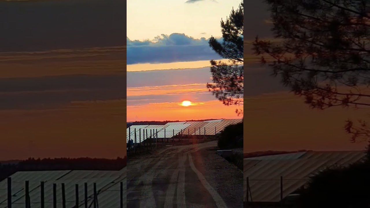 #portugal #europa #atardecer #flamenco