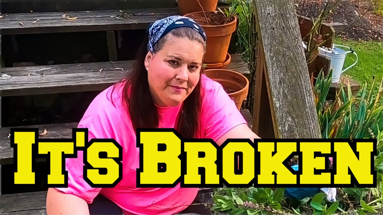 1963 Broken down Mobile home , why did we buy it? (Chapter 2)