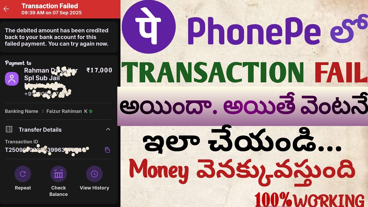 FIX Payment Failed Issues in PhonePe NOW | How to Solve 