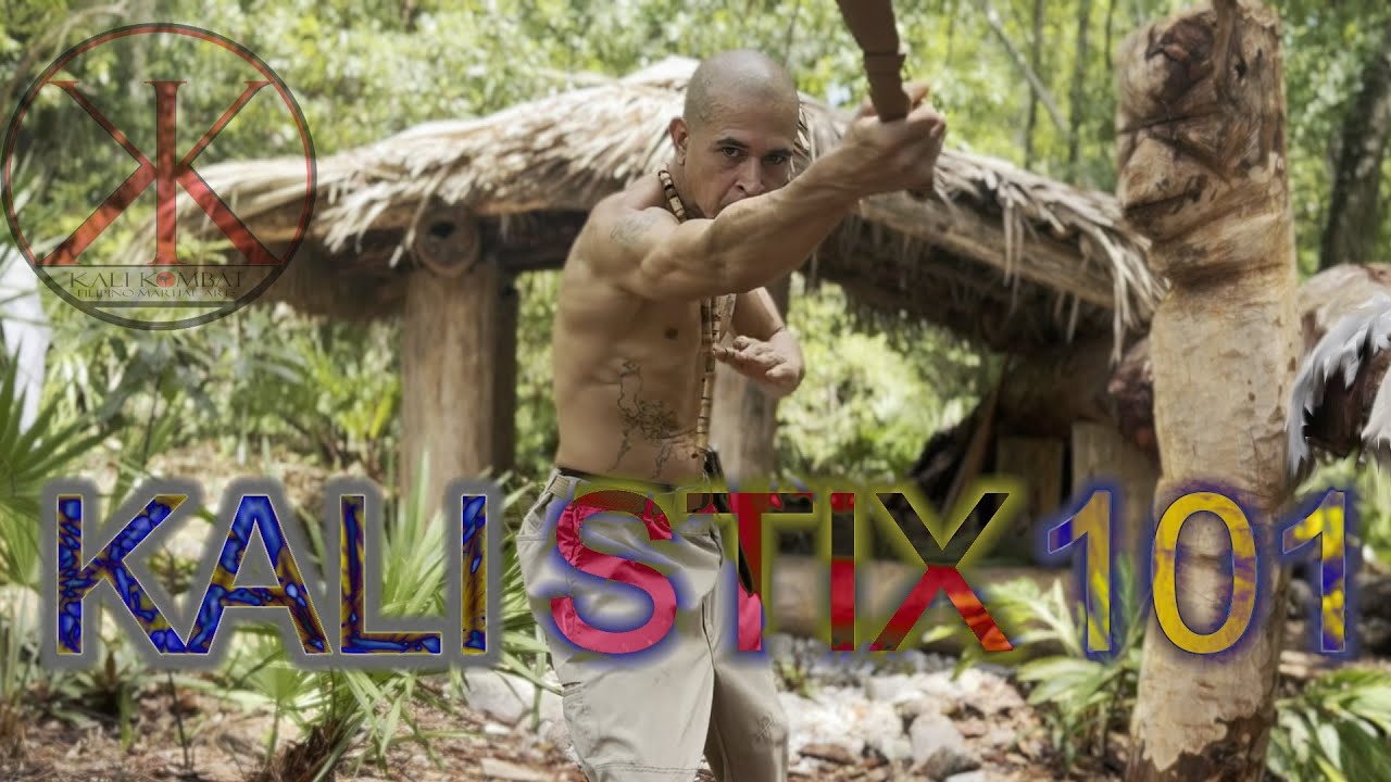 KALI STIX 101 Course Intro